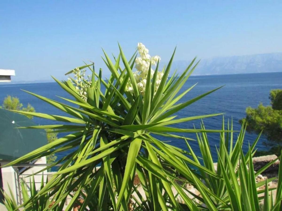Holiday House Jakov Gdinj Extérieur photo