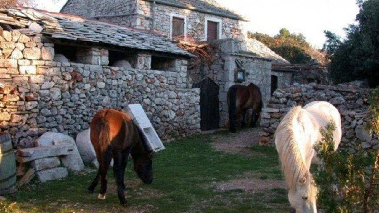 Holiday House Jakov Gdinj Extérieur photo